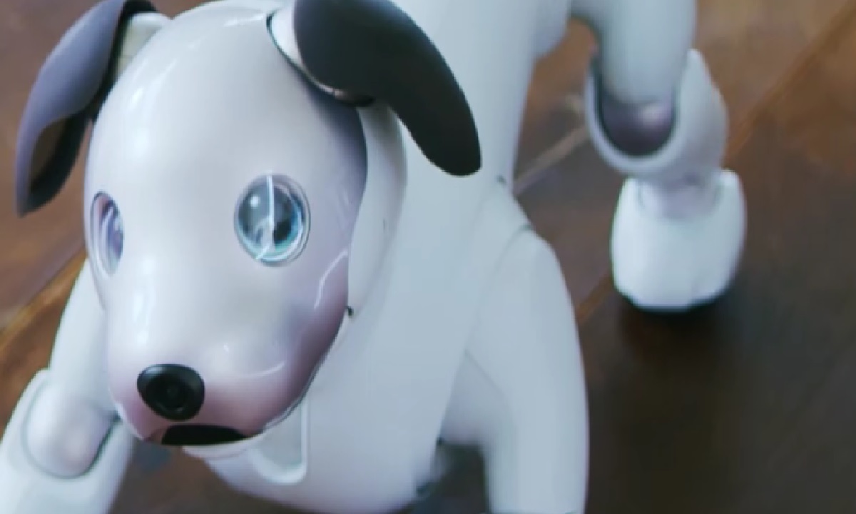 Sony Aibo El Perro Robot Se Vende Masivamente En Jap N Hoyentec