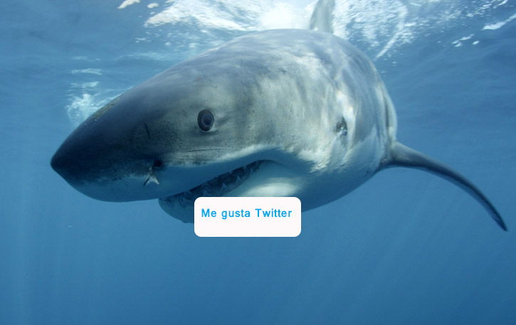 tiburones-en-twitter-(1)