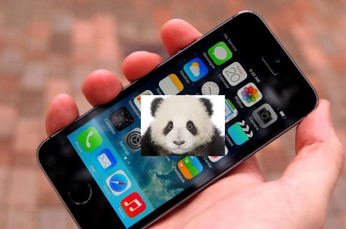 unflod-baby-panda