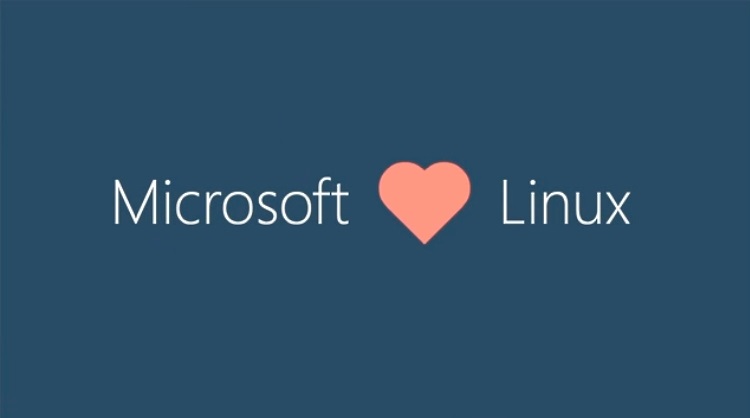 Microsoft se une a la Fundación Linux y une esfuerzos con Google y Samsung